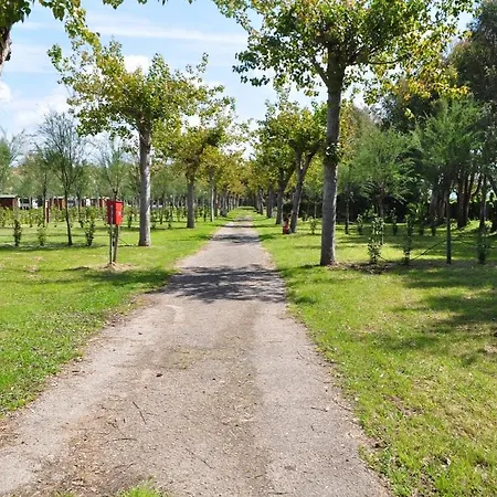 Paestum - Campings.com 캠프장 이볼리